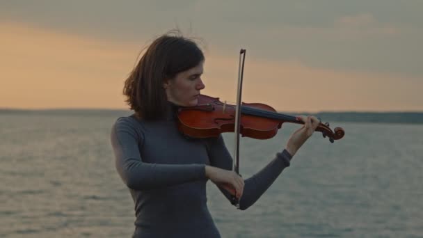 ヴァイオリニストの若い女性の肖像画 — ストック動画