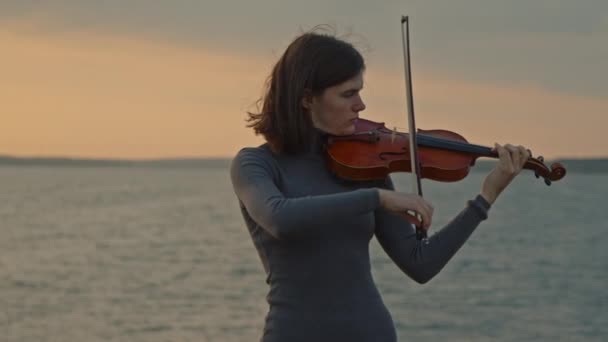 年轻女子在玩小提琴 — 图库视频影像