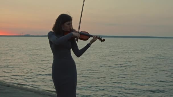 호수 근처에서 공연하는 여자 — 비디오