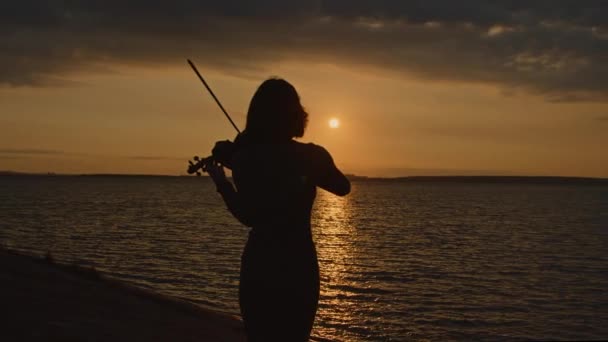 Silhouette of Woman Musician Outside — Stock Video