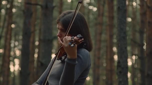 ロンリーレディがバイオリンを弾いている — ストック動画