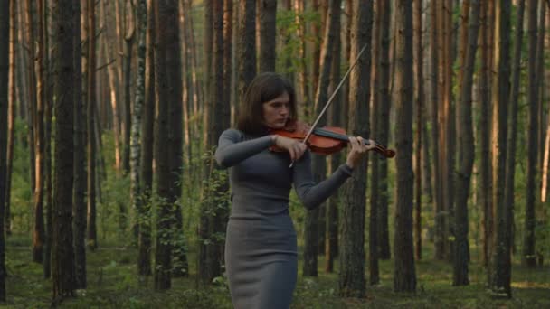 Портрет женщины-скрипача в лесу — стоковое видео