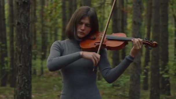 女小提琴手在树间玩耍 — 图库视频影像