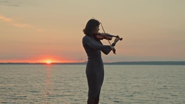 Lady en vestido gris está tocando el violín — Vídeo de stock