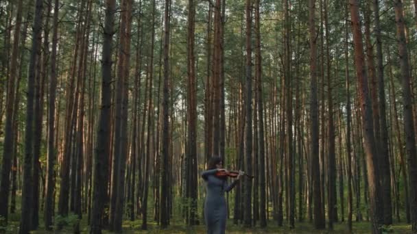 Женщина играет на скрипке в сосновом лесу — стоковое видео