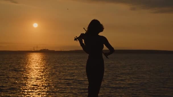 日の出時の女バイオリニストのシルエット — ストック動画