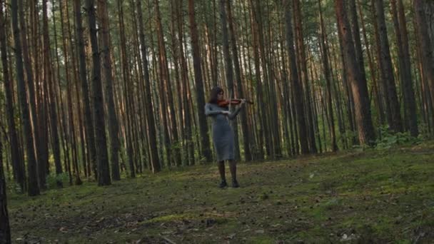 Mujer músico está jugando violín en el bosque — Vídeo de stock