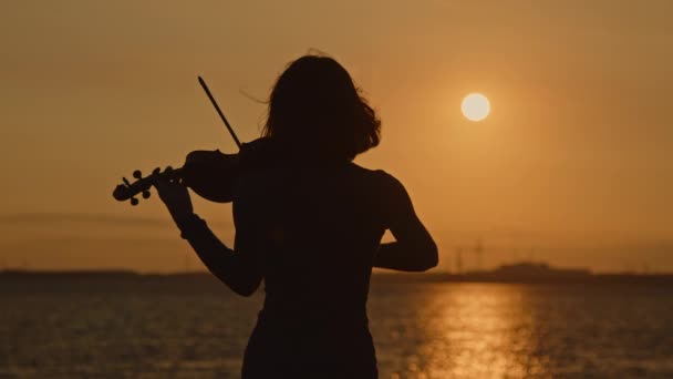 Női hegedűművész sziluettje napkeltekor — Stock videók