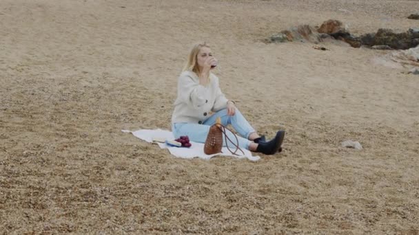 Kobieta ma piknik na plaży — Wideo stockowe
