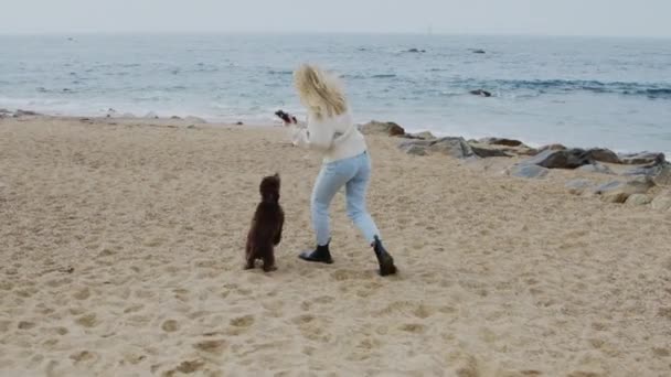 Donna sta giocando con animale domestico sulla spiaggia — Video Stock
