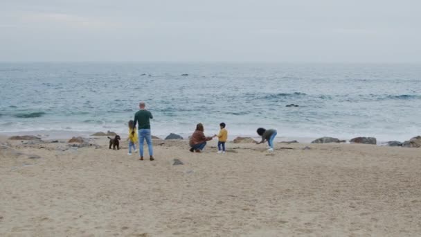 Gelukkig familieweekend op het strand — Stockvideo