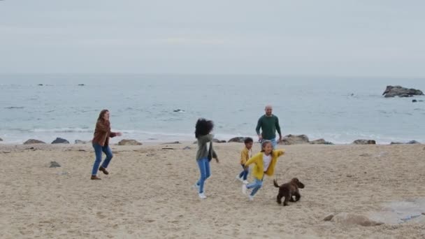 Νεαρή οικογένεια παίζει με το σκυλί Εξωτερική — Αρχείο Βίντεο