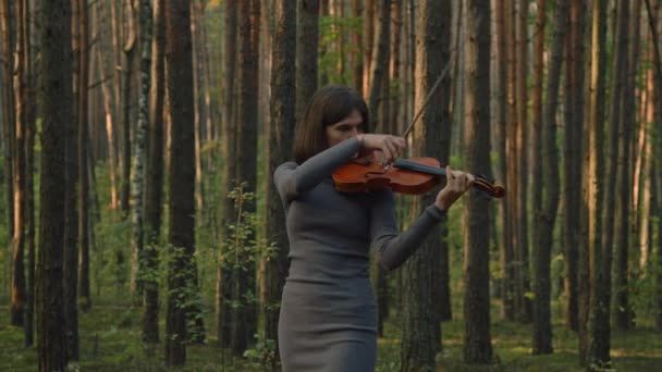 Портрет талантливой женщины, играющей в скрипку — стоковое видео