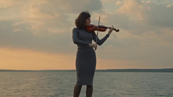 Retrato de Mulher Talentosa Violinista — Vídeo de Stock