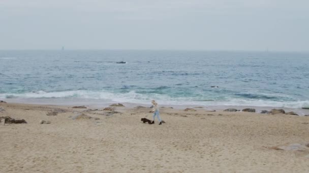 Mulher está andando com cão na costa do mar — Vídeo de Stock