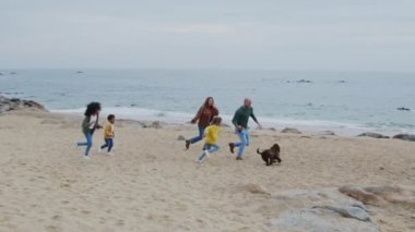 Ebeveynler ve çocuklar köpeklerini okyanus kıyısında gezdiriyorlar.