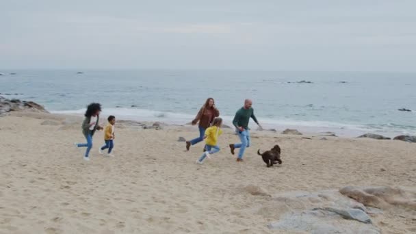 Батьки і діти ходять зі своїм собакою на узбережжі океану — стокове відео