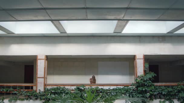 女人在光芒四射的大厅里跳舞 — 图库视频影像