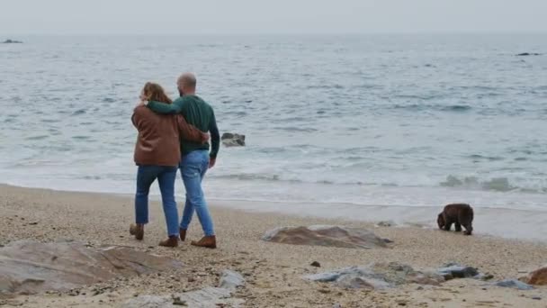 Giovane coppia sta camminando sulla costa dell'oceano — Video Stock