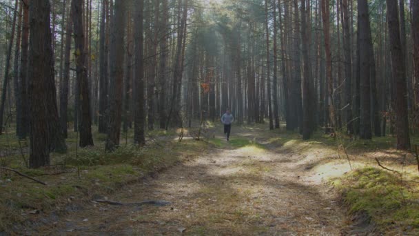 Delgado hombre has fin de semana correr en bosque — Vídeo de stock