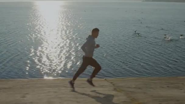 Man Is Running Near Lake with Ducks — Stock Video