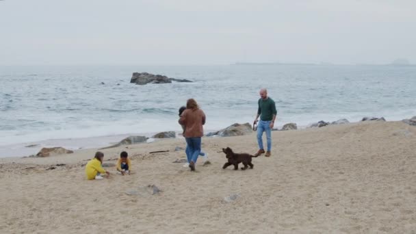 Eltern spielen mit Kindern an der Küste des Ozeans — Stockvideo