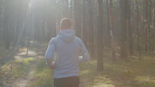 Человек бегает в солнечный выходной день — стоковое видео