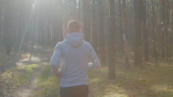 El hombre está corriendo en el soleado día de fin de semana — Vídeo de stock