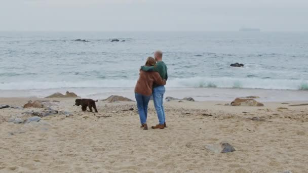 Pasangan muda yang berdiri di pantai samudera — Stok Video