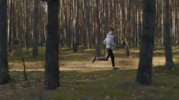 Утренняя пробежка в сосновом лесу — стоковое видео