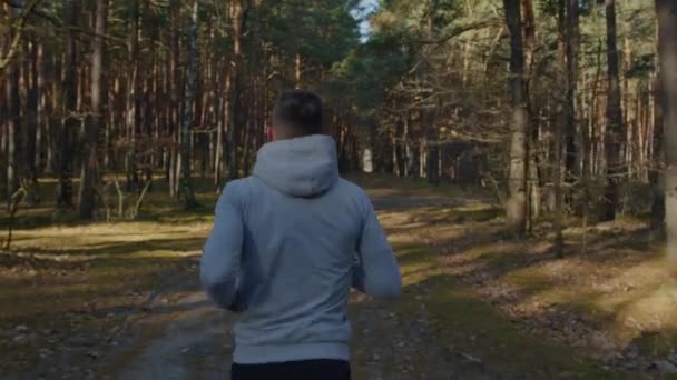 Молодой человек бегает в лесу — стоковое видео