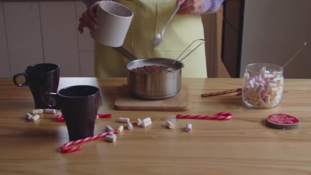 Evde Sıcak Kakao İçeceği Pişiriyorum — Stok video