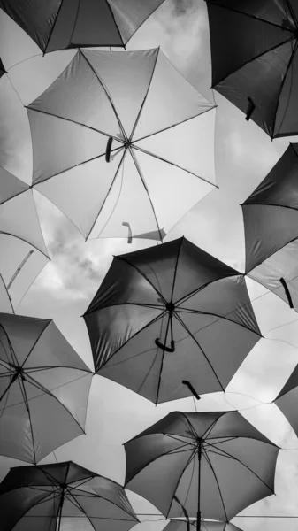 Large Black Umbrellas Umbrella — Stock Photo, Image