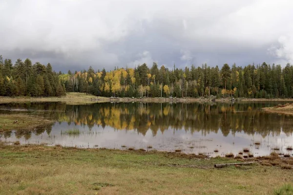 Autunno Lungo Rive Del Lago Nella Riserva Indiana White Mountain — Foto Stock