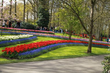 Parktaki güzel çiçekler.