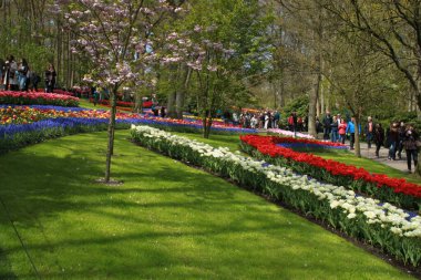 Parktaki güzel çiçekler.