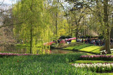 Keukenhof, Hollanda 'da çekildi.