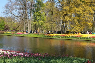 Keukenhof, Hollanda 'da çekildi.