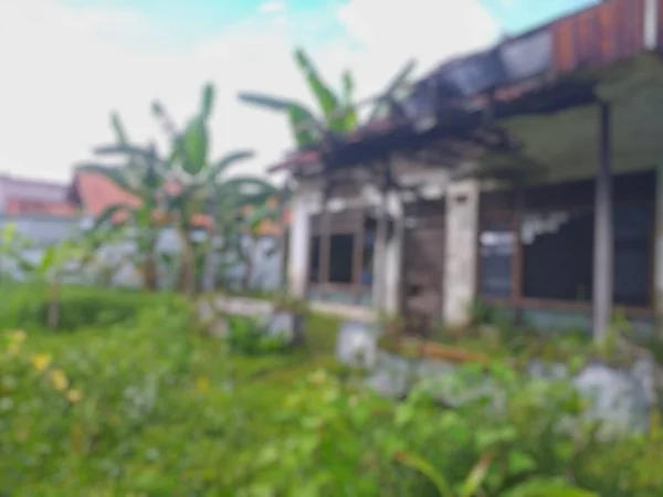 Blurry Picture Abandoned House Overgrown Wild Plants Countryside Indonesia — Stock Photo, Image