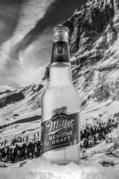 Москва Россия Мая 2020 Года Охлажденная Бутылка Пива Miller Genuine — стоковое фото