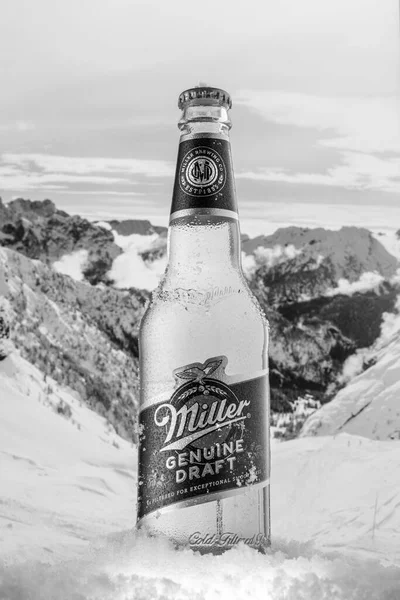 Москва Россия Мая 2020 Года Охлажденная Бутылка Пива Miller Genuine — стоковое фото