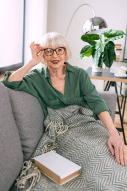 Kanepede oturmuş evde kitap okuyan neşeli, son sınıf öğrencisi bir kadın. Eğitim, olgun, boş zaman kavramı