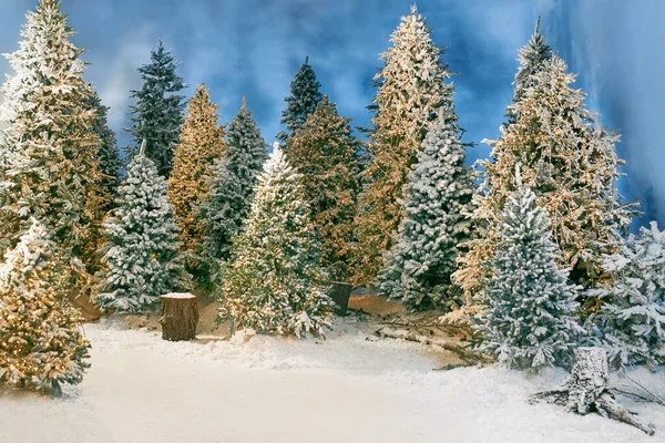 Magical Snow Forest Christmas Trees — Stockfoto