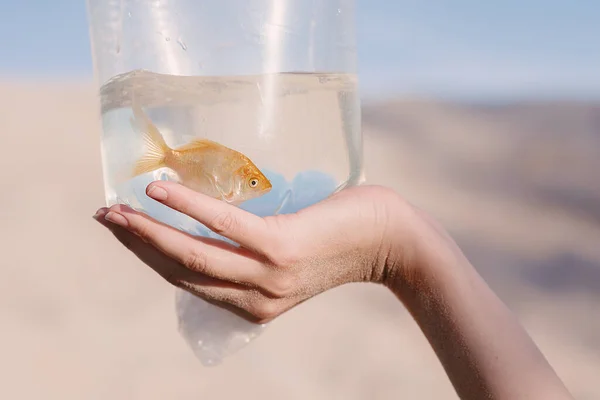 Blonde Woman Desert Goldfish Her Hands — Stock Photo, Image