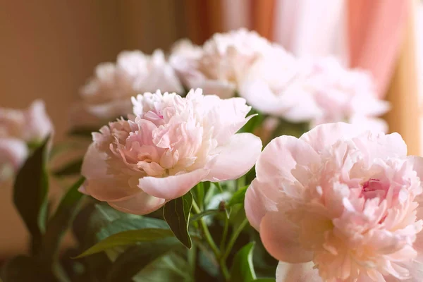 Pink Peonies Vase — Stock Photo, Image
