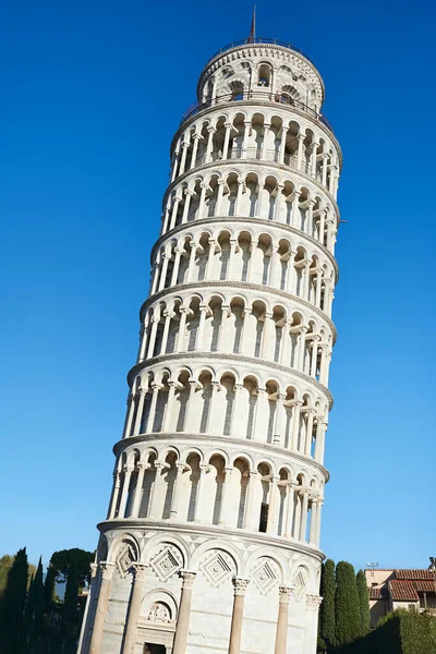 Pisa Italia Octubre 2021 Torre Inclinada Pisa Sobre Fondo Azul —  Fotos de Stock