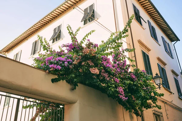 Çiçekli tipik Akdeniz evi. Seyahat, Avrupa mimari kavramı