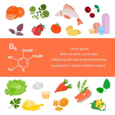 Vektör illüstrasyon B6 vitamini kaynakları. Vitaminlerle zenginleştirilmiş protein metabolizması için sağlıklı besinler şart. Düzgün doğal beslenme, diyet organik ürünler. Süt ürünleri Sebze Balık Fındığı