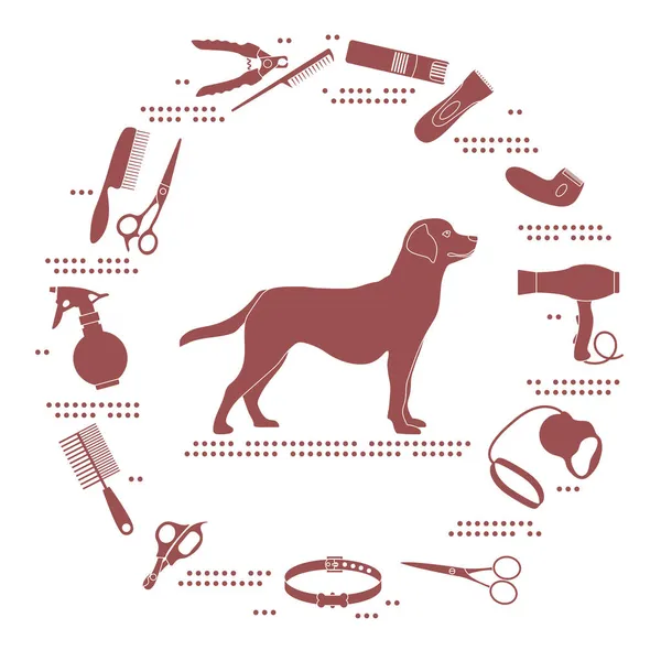 Ilustración Vectorial Aseo Para Perros Peluquería Para Animales Cizalla Pelo — Vector de stock