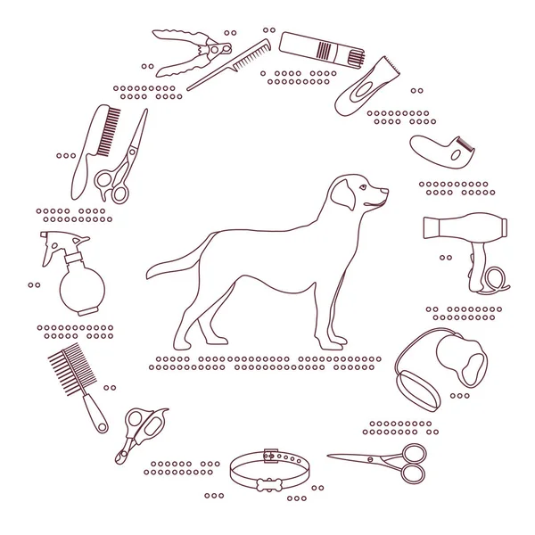 Ilustración Vectorial Aseo Para Perros Peluquería Para Animales Cizalla Pelo — Vector de stock